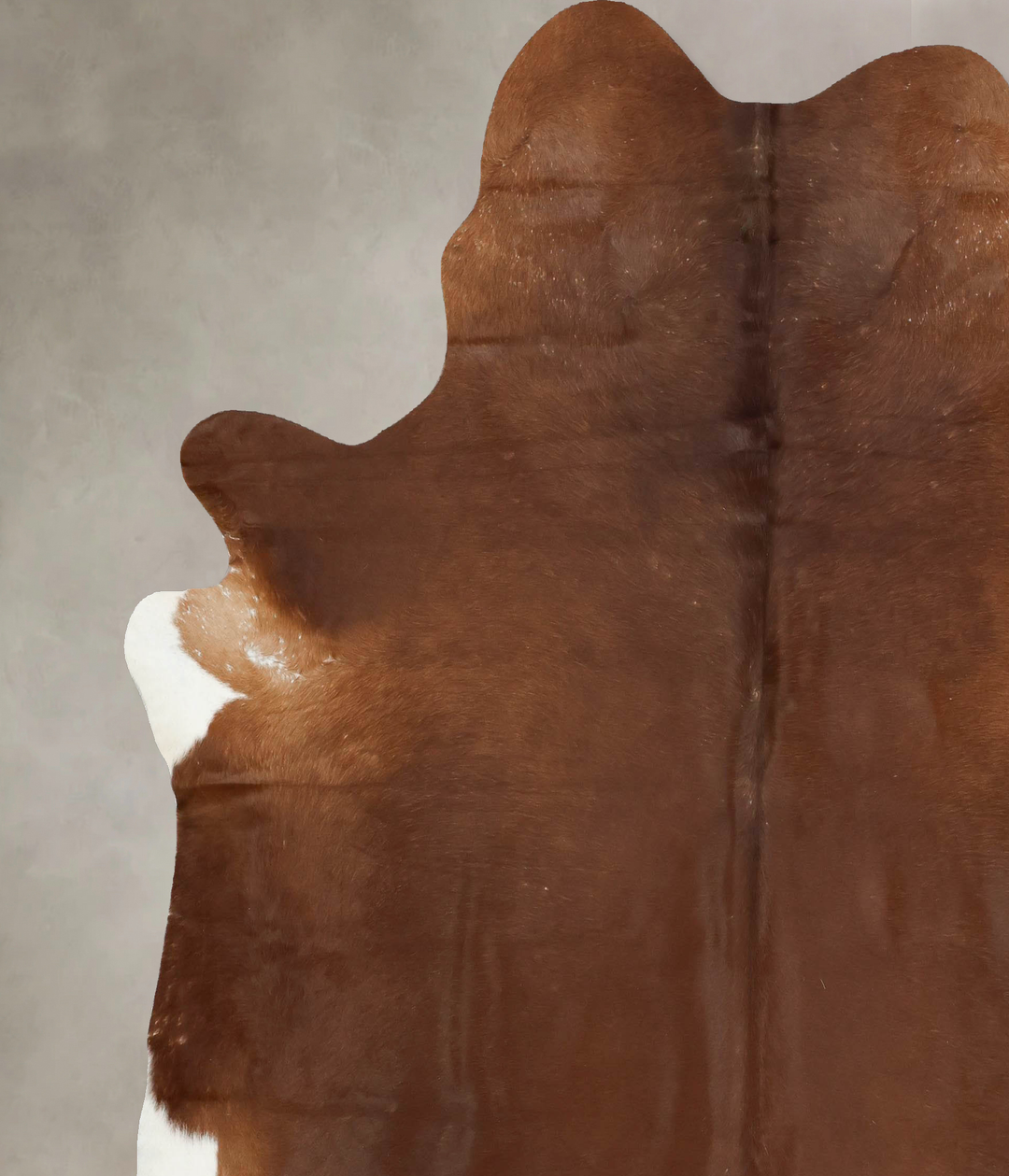 Solid Brown XX-Large Brazilian Cowhide Rug 8'7"H x 7'6"W #B16098 by Hu