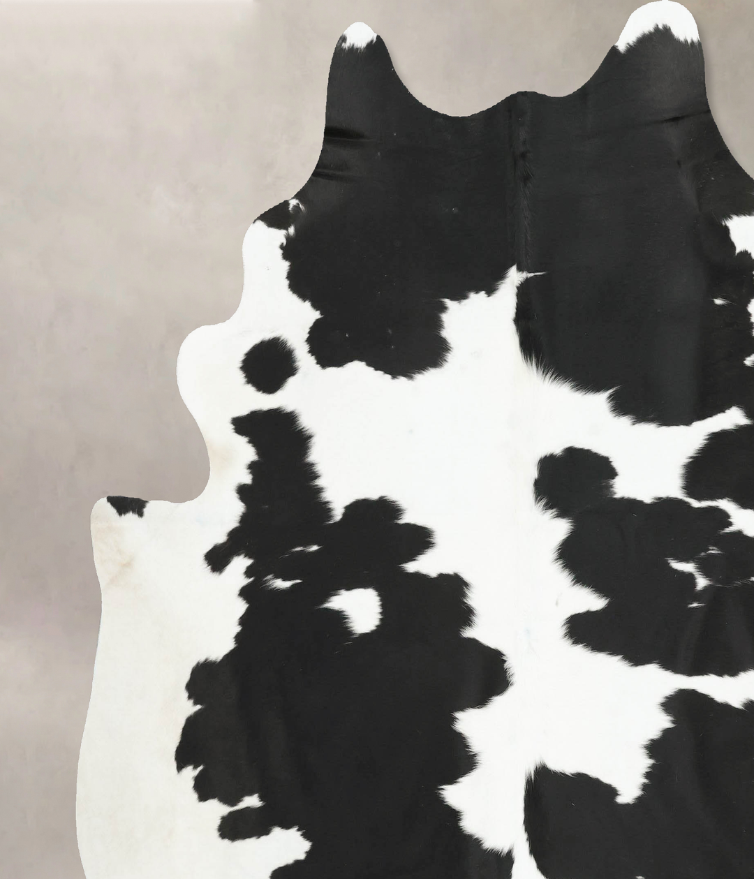 Black and White XX-Large Brazilian Cowhide Rug 7'4"H x 7'3"W #B16102 b