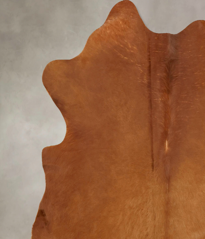 Solid Brown X-Large Brazilian Cowhide Rug 6'8"H x 6'5"W #B16109 by Hudson Hides
