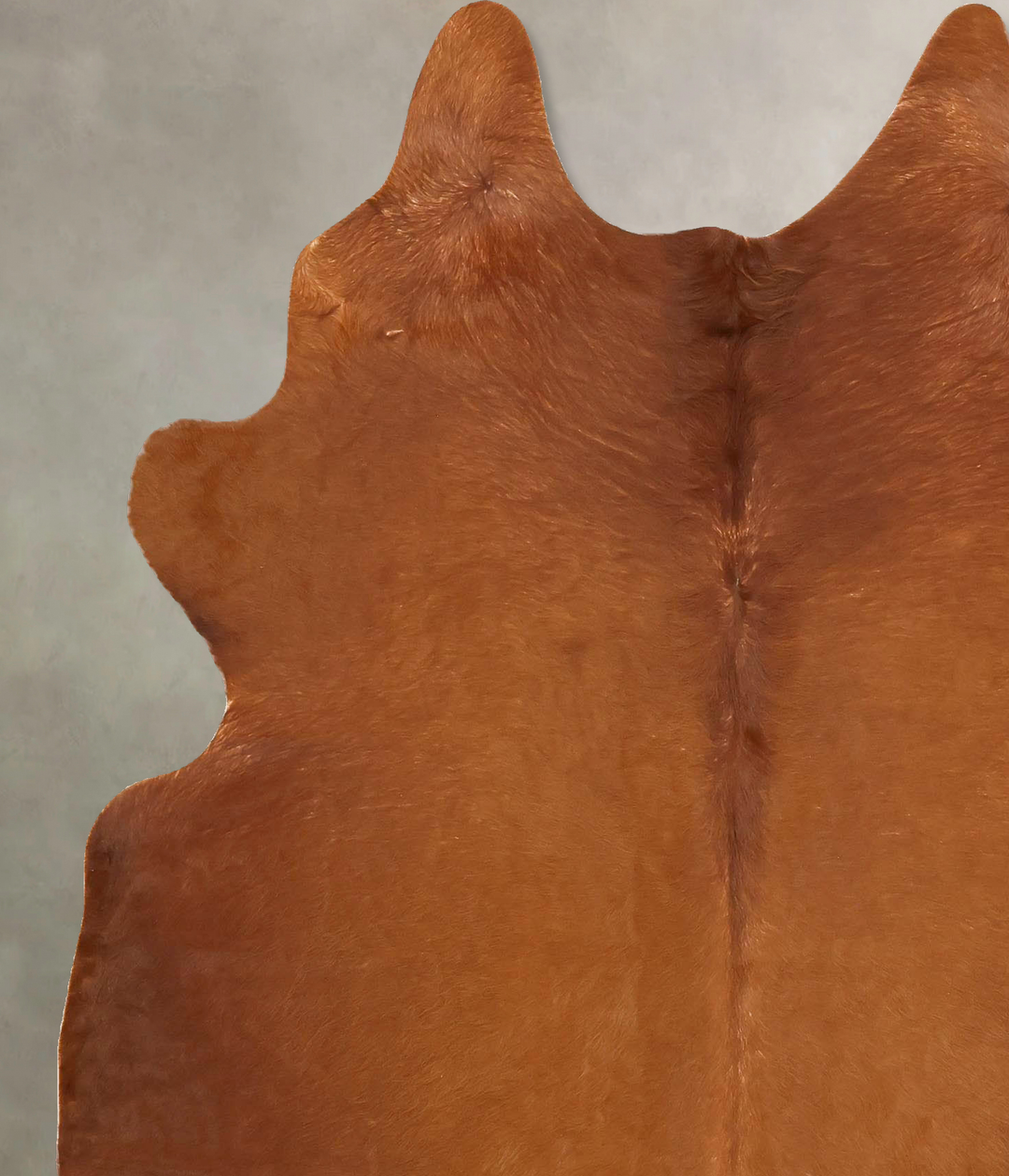 Solid Brown X-Large Brazilian Cowhide Rug 7'3"H x 5'9"W #B16112 by Hud