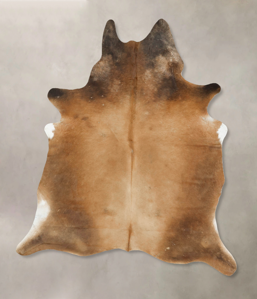 Warm Caramel X-Large Brazilian Cowhide Rug 7'11"H x 6'3"W #B16113 by Hudson Hides