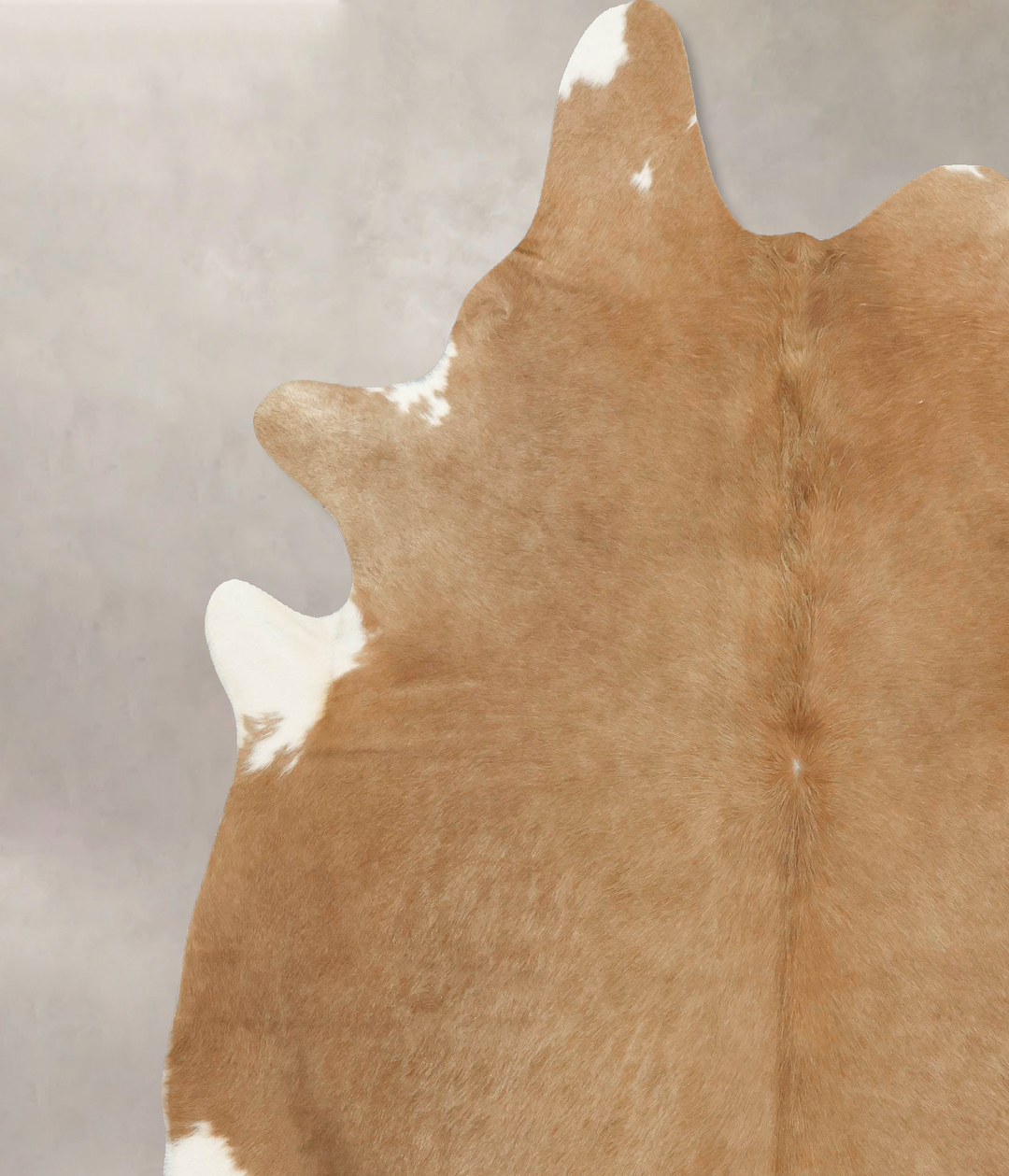 Beige XX-Large Brazilian Cowhide Rug 8'1"H x 6'11"W #B16120 by Hudson 