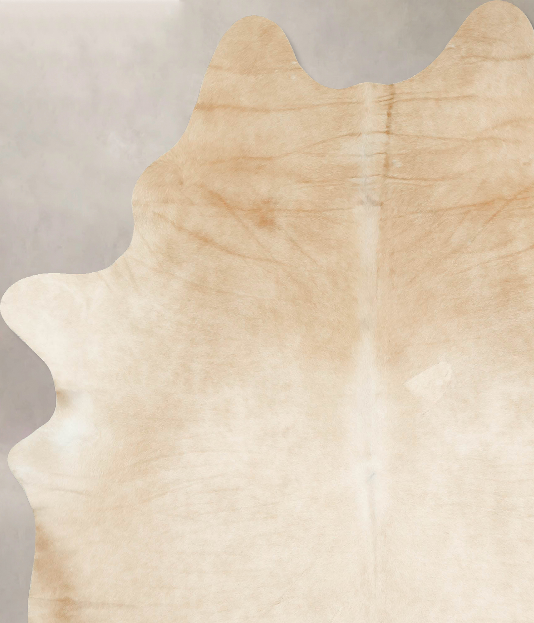 Palomino XX-Large Brazilian Cowhide Rug 8'8"H x 6'9"W #B16121 by Hudso