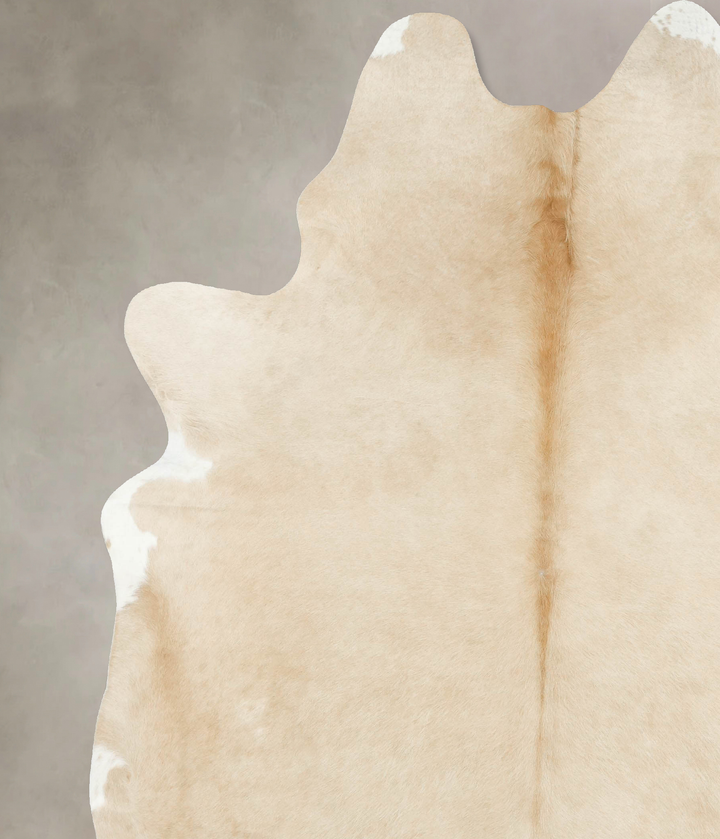 Palomino XX-Large Brazilian Cowhide Rug 8'10"H x 7'1"W #B16125 by Hudson Hides