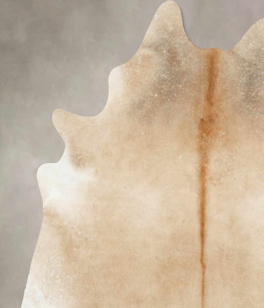 Palomino XX-Large Brazilian Cowhide Rug 7'11"H x 7'2"W #B16129 by Huds