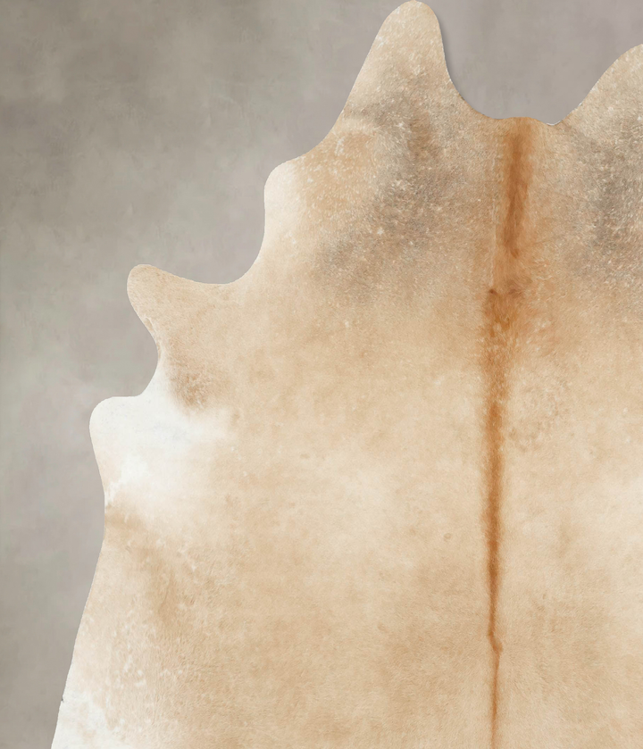 Palomino XX-Large Brazilian Cowhide Rug 7'11"H x 7'2"W #B16129 by Hudson Hides