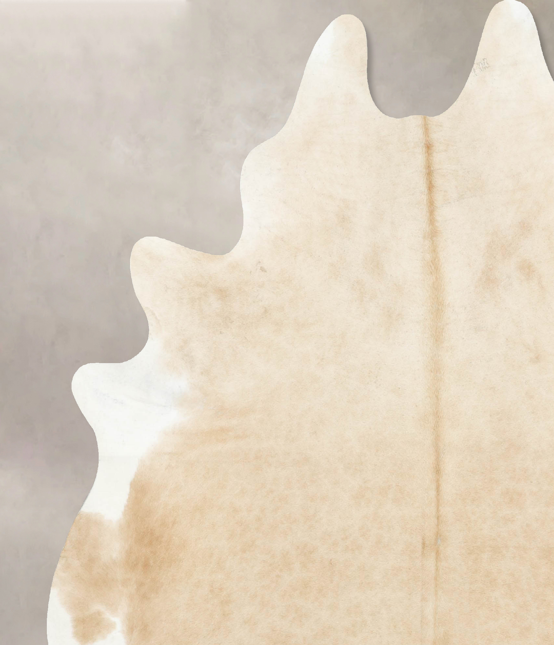 Palomino XX-Large Brazilian Cowhide Rug 8'2"H x 6'8"W #B16144 by Hudso