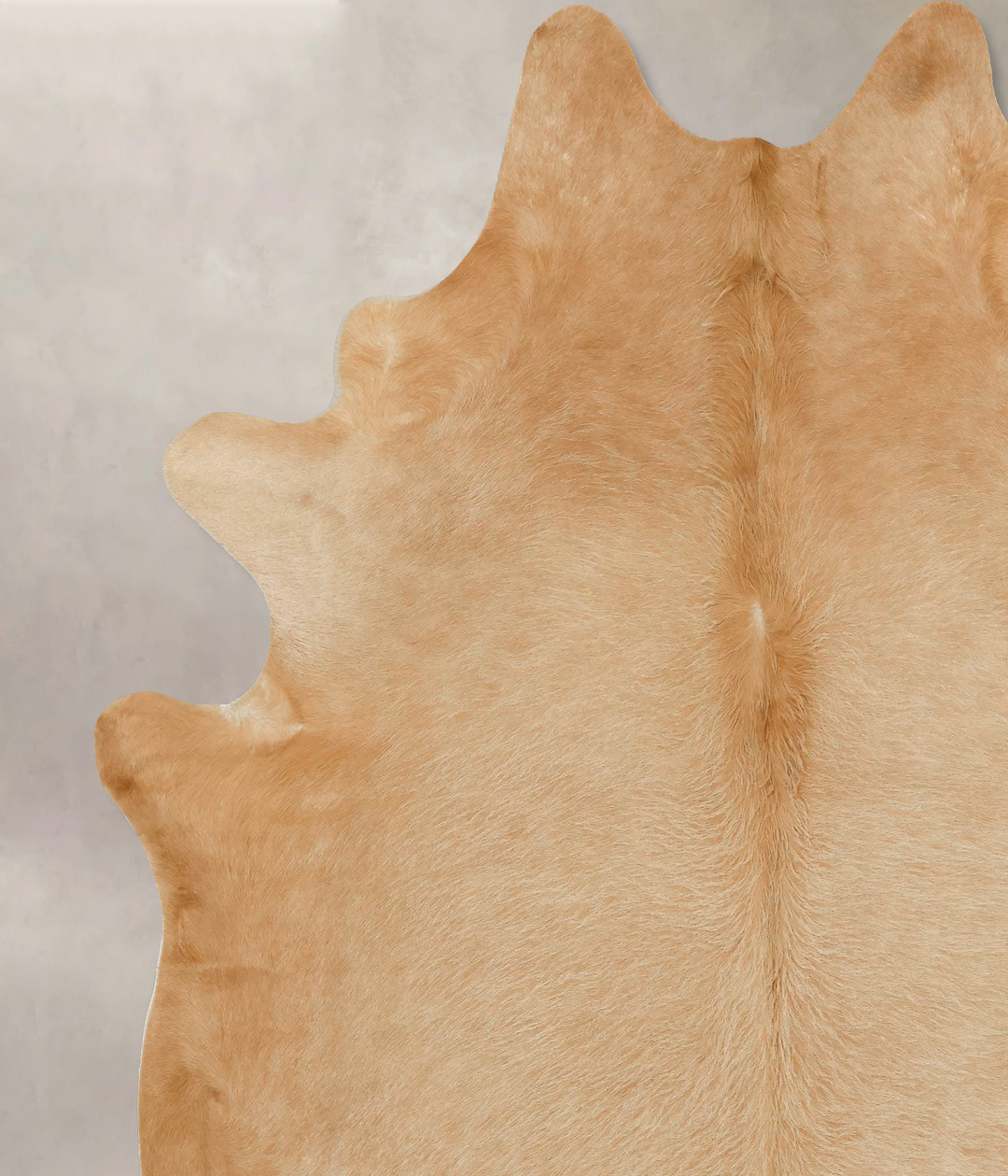 Beige XX-Large Brazilian Cowhide Rug 8'0"H x 6'10"W #B16146 by Hudson 