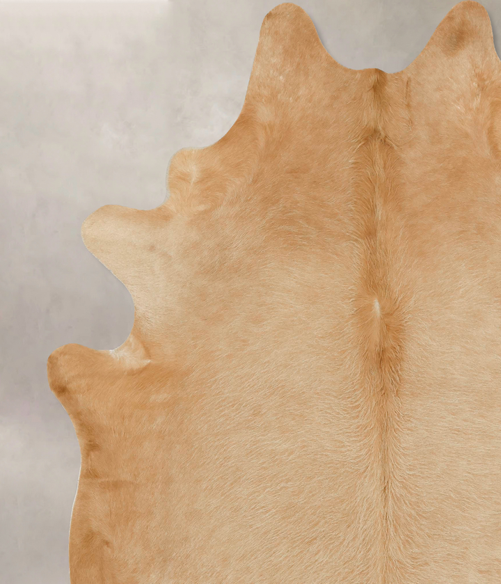 Beige XX-Large Brazilian Cowhide Rug 8'0"H x 6'10"W #B16146 by Hudson Hides
