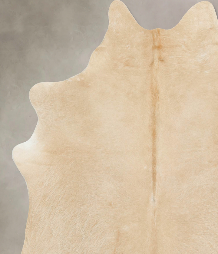 Palomino X-Large Brazilian Cowhide Rug 7'0"H x 5'11"W #B16160 by Hudson Hides