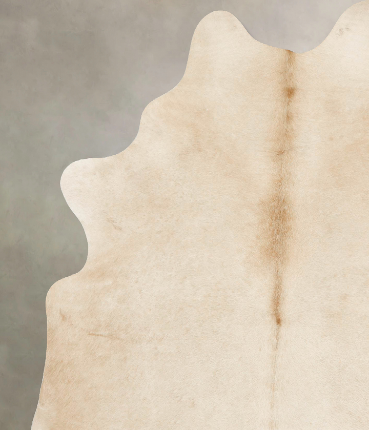 Palomino X-Large Brazilian Cowhide Rug 7'2"H x 5'7"W #B16161 by Hudson Hides