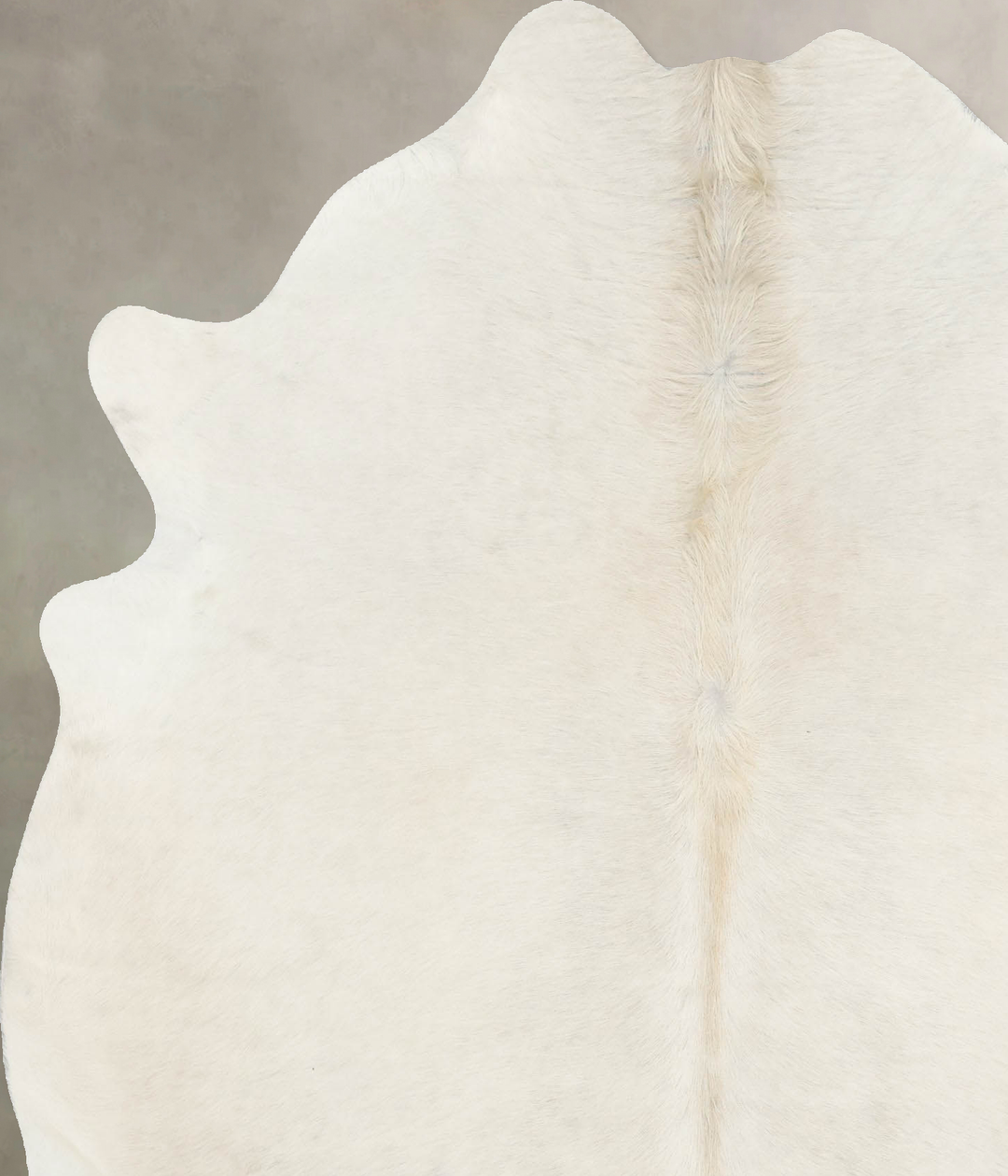 Ivory with Beige Large Brazilian Cowhide Rug 7'0"H x 5'9"W #B16166 by 