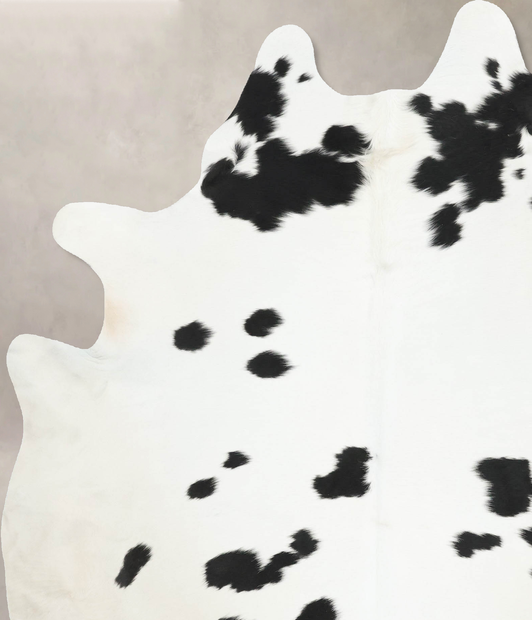Black and White X-Large Brazilian Cowhide Rug 7'10"H x 6'2"W #B16175 b