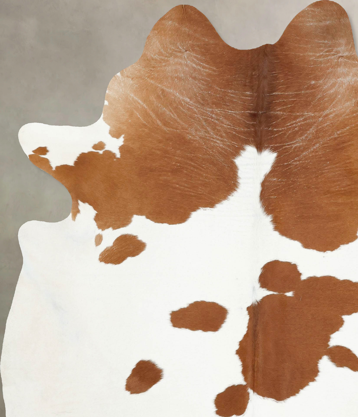 Brown and White XX-Large Brazilian Cowhide Rug 8'2"H x 6'5"W #B16188 by Hudson Hides