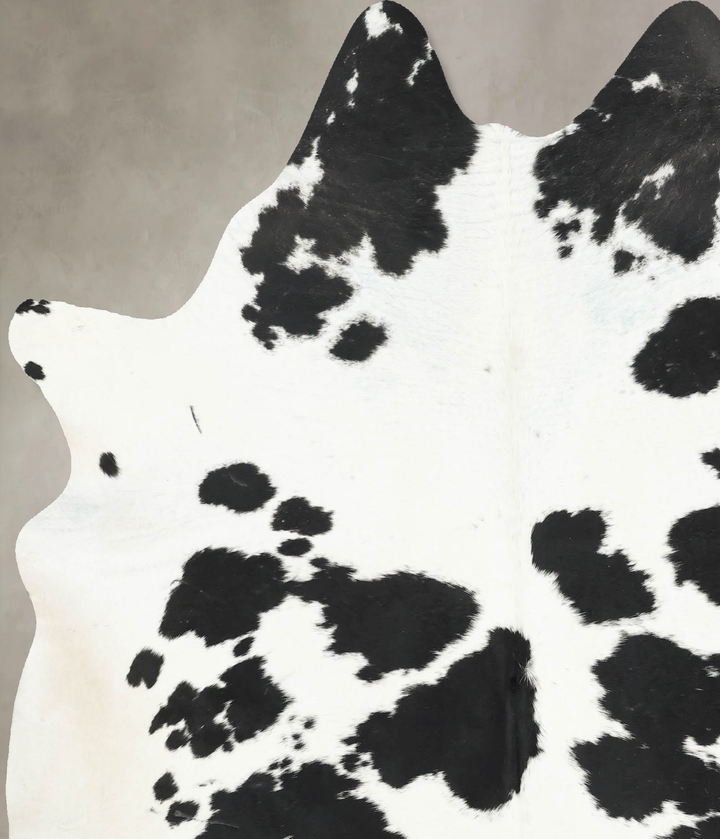 Black and White X-Large Brazilian Cowhide Rug 7'2"H x 6'2"W #B16192 by Hudson Hides