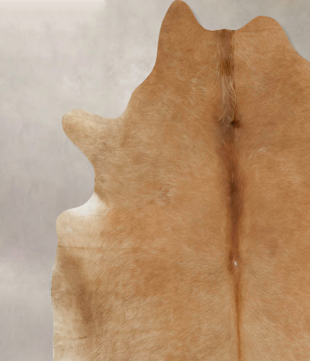 Beige XX-Large Brazilian Cowhide Rug 7'7"H x 7'2"W #B16201 by Hudson H