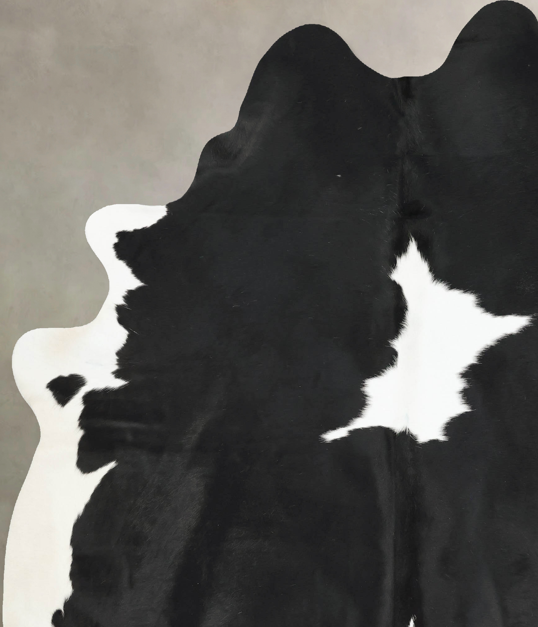 Black and White XX-Large Brazilian Cowhide Rug 8'8"H x 6'9"W #B16204 b
