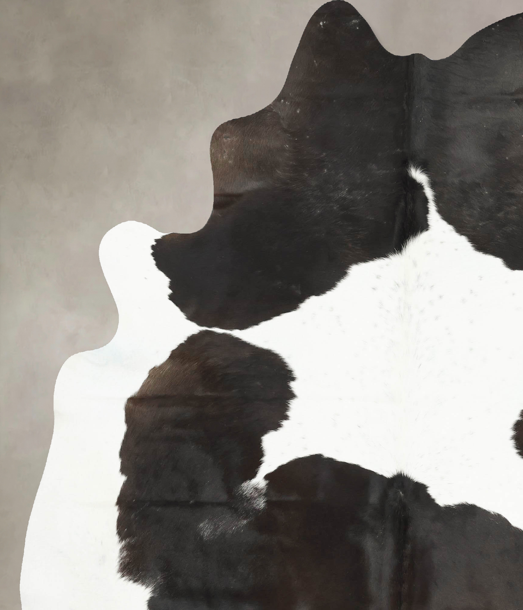Black and White XX-Large Brazilian Cowhide Rug 8'6"H x 6'9"W #B16229 b