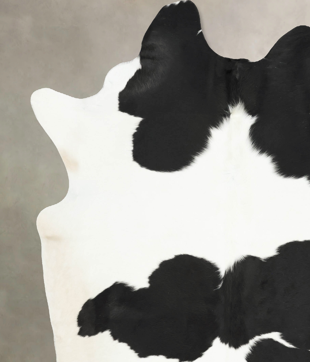 Black and White XX-Large Brazilian Cowhide Rug 8'5"H x 7'2"W #B16236 b