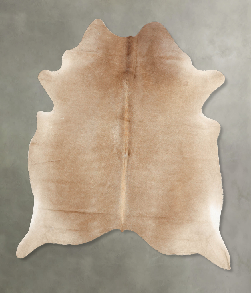 Champagne XX-Large Brazilian Cowhide Rug 8'4"H x 7'2"W #B1624 by Hudson Hides