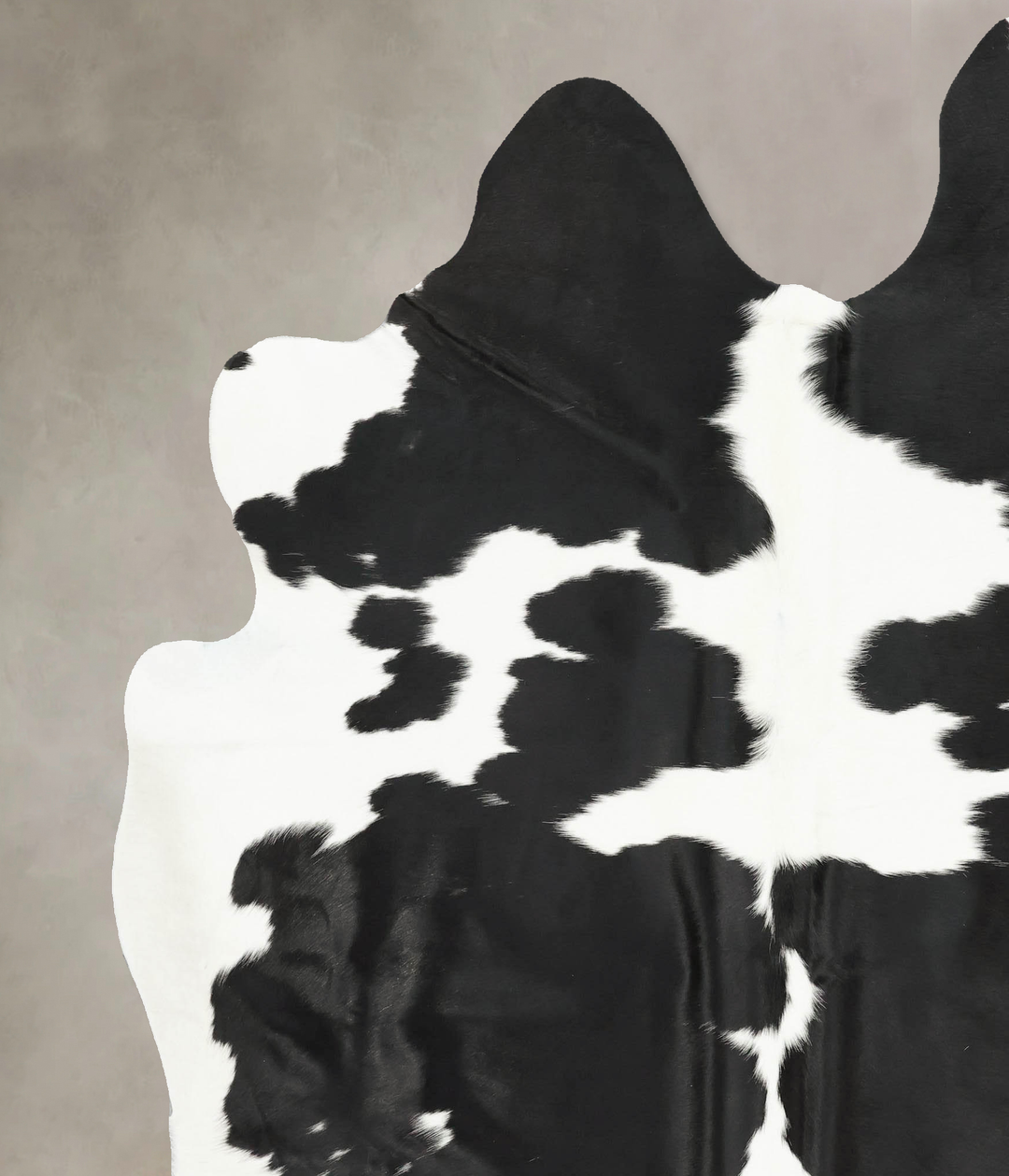 Black and White XX-Large Brazilian Cowhide Rug 8'2"H x 6'9"W #B16242 b