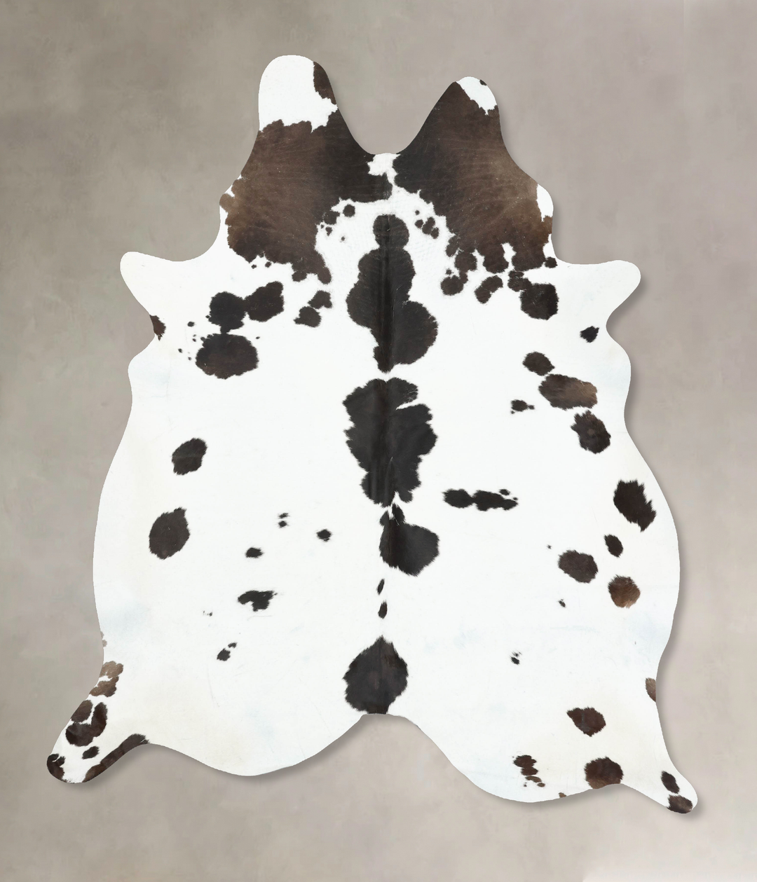 Chocolate and White XX-Large Brazilian Cowhide Rug 8'8"H x 6'11"W #B16