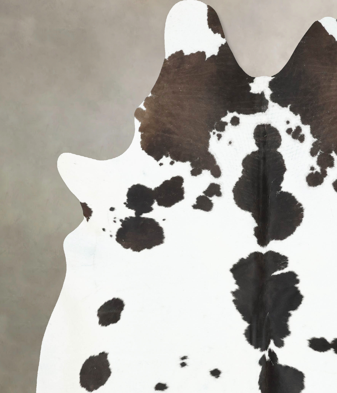 Chocolate and White XX-Large Brazilian Cowhide Rug 8'8"H x 6'11"W #B16