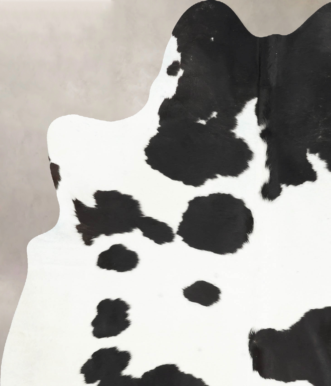 Black and White X-Large Brazilian Cowhide Rug 7'7"H x 5'8"W #B16259 by