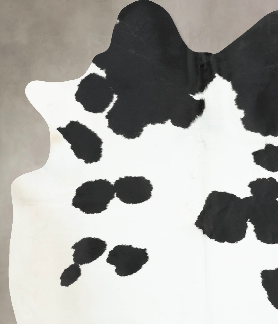 Black and White X-Large Brazilian Cowhide Rug 7'5"H x 6'1"W #B16269 by