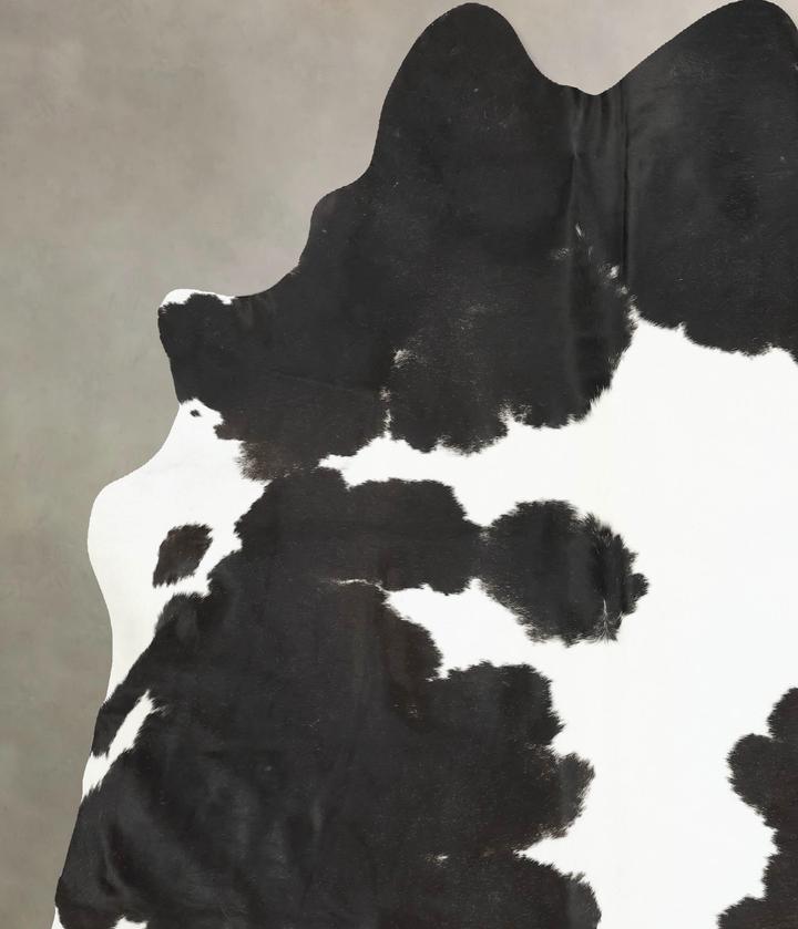 Black and White XX-Large Brazilian Cowhide Rug 8'1"H x 6'9"W #B16272 by Hudson Hides