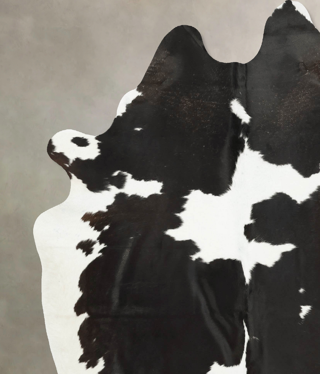 Black and White XX-Large Brazilian Cowhide Rug 8'2"H x 6'6"W #B16293 b
