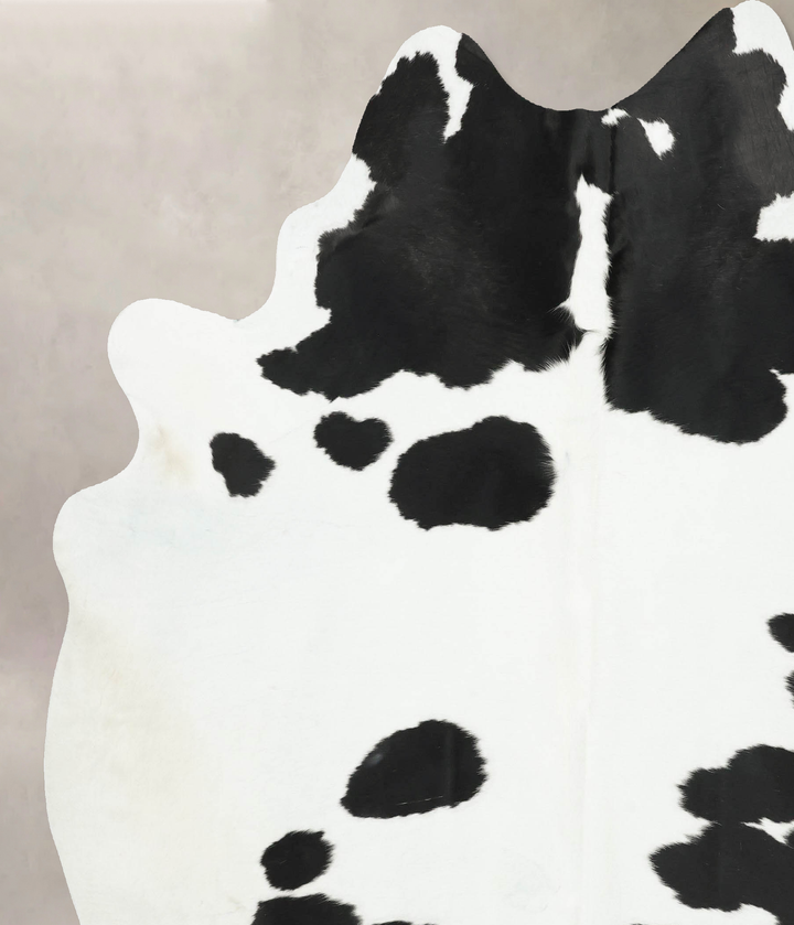 Black and White XX-Large Brazilian Cowhide Rug 7'11"H x 7'1"W #B16308 by Hudson Hides