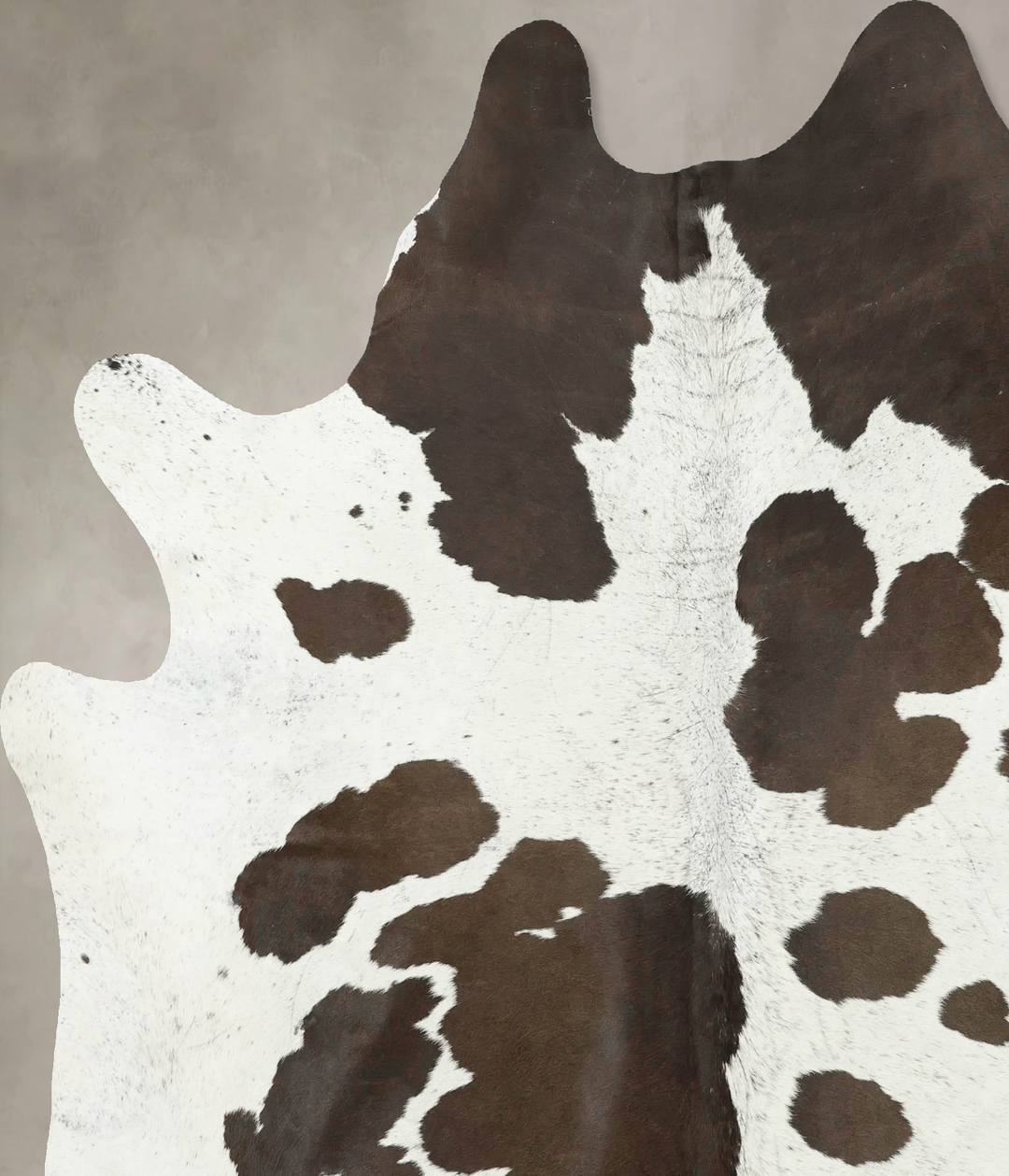 Chocolate and White X-Large Brazilian Cowhide Rug 7'6"H x 6'7"W #B1631