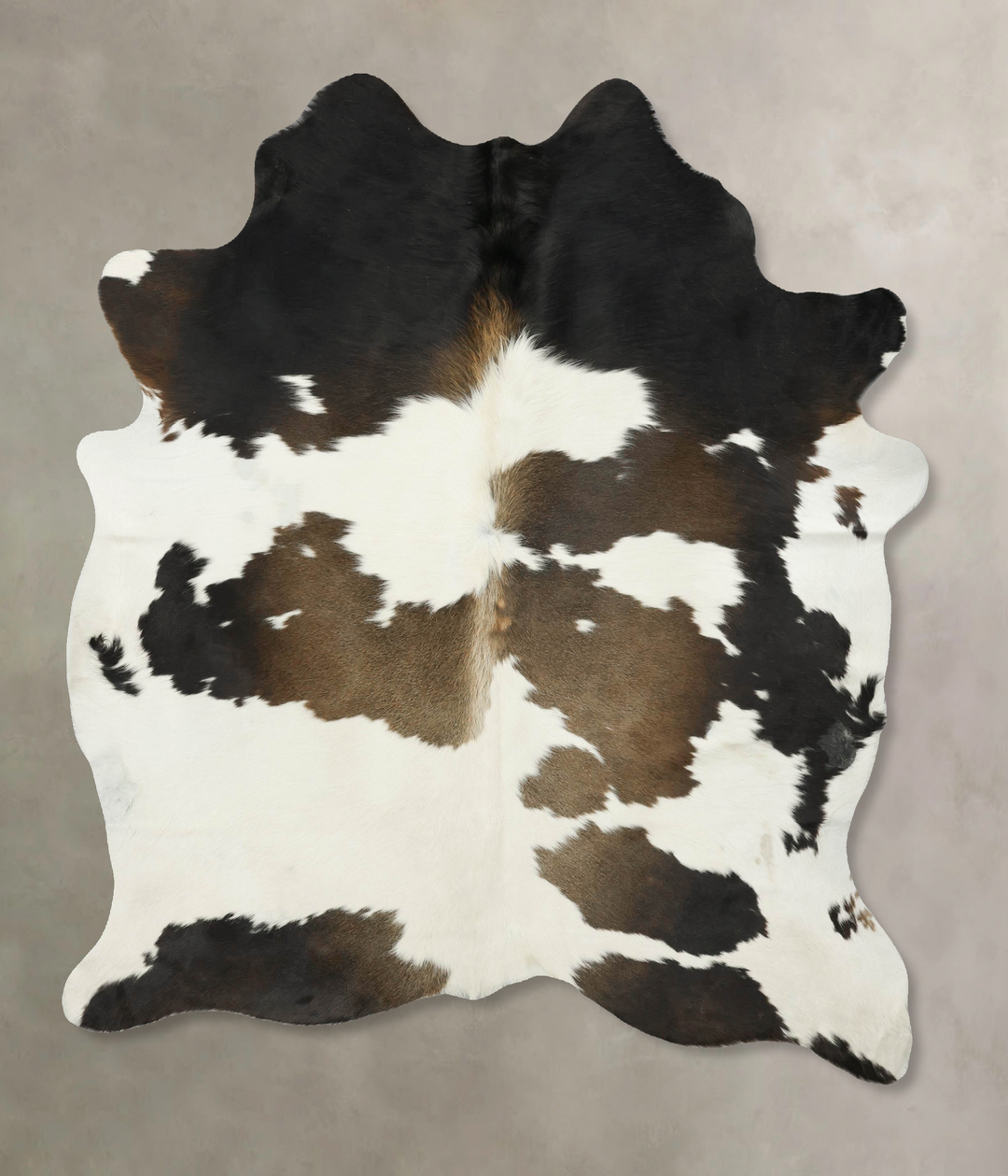 Chocolate and White Large Brazilian Cowhide Rug 6'11"H x 5'6"W #B16322