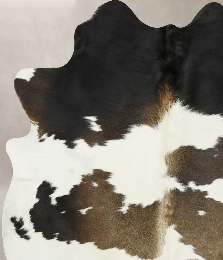 Chocolate and White Large Brazilian Cowhide Rug 6'11"H x 5'6"W #B16322 by Hudson Hides