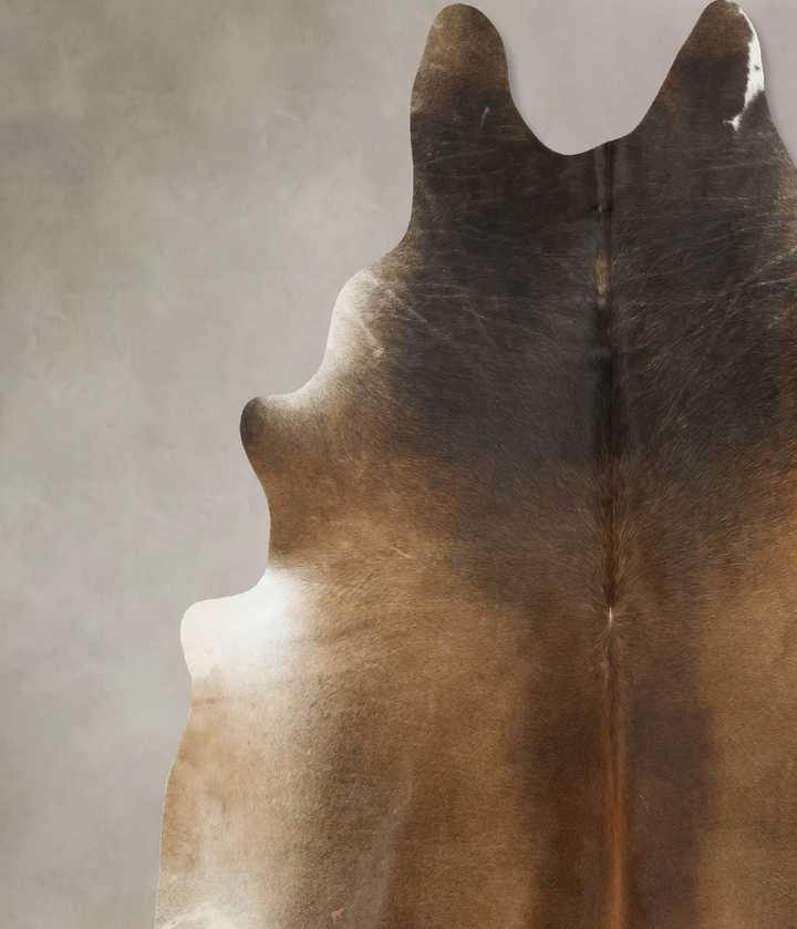 Chocolate XX-Large Brazilian Cowhide Rug 8'5"H x 7'9"W #B16333 by Hudson Hides