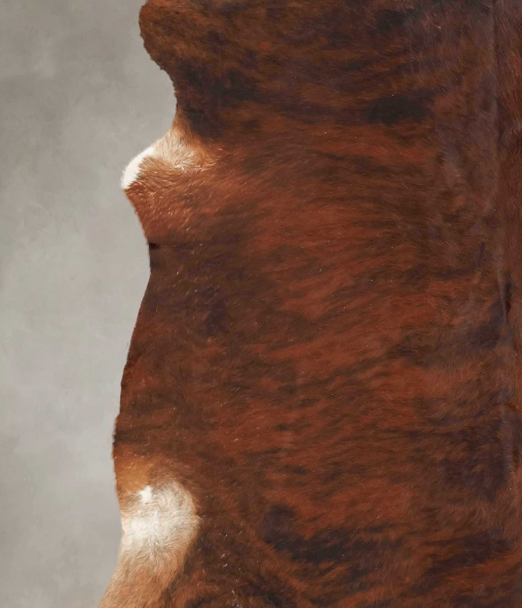 Medium Brindle Cowhide Rug #B1634