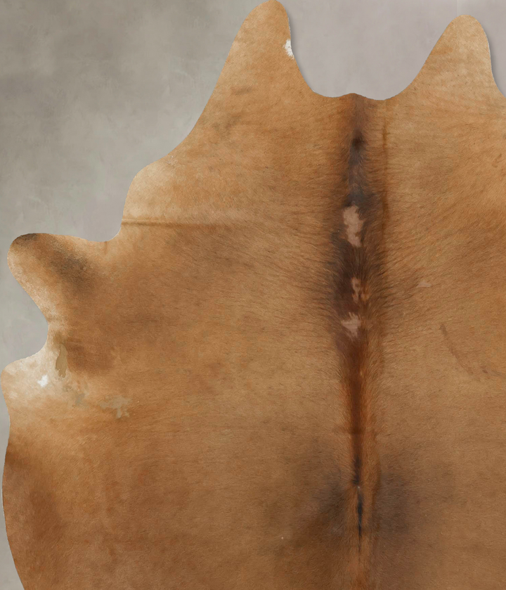 Solid Brown X-Large Brazilian Cowhide Rug 7'3"H x 5'10"W #B16347 by Hudson Hides