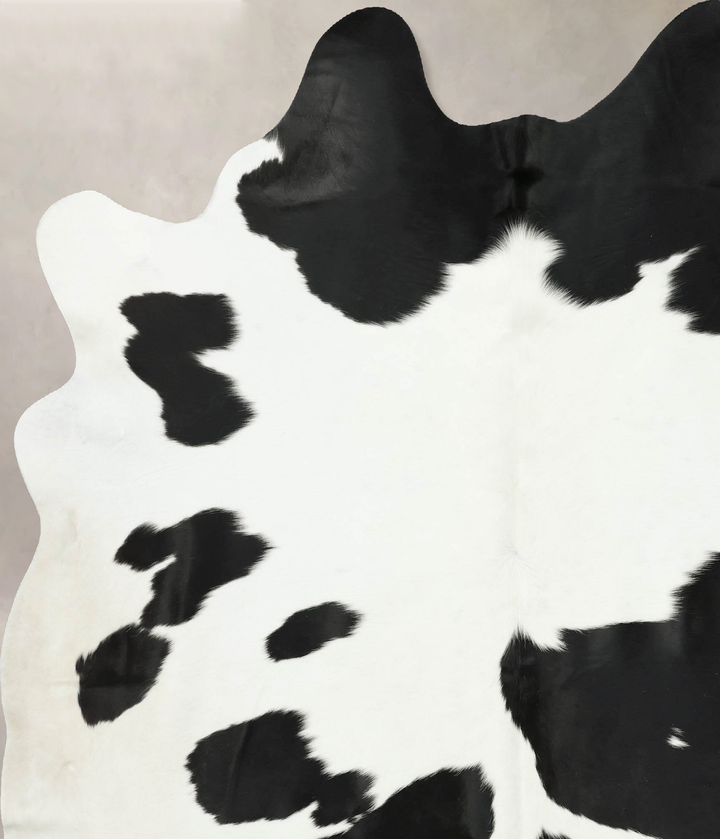 Black and White XX-Large Brazilian Cowhide Rug 8'0"H x 6'9"W #B16348 by Hudson Hides