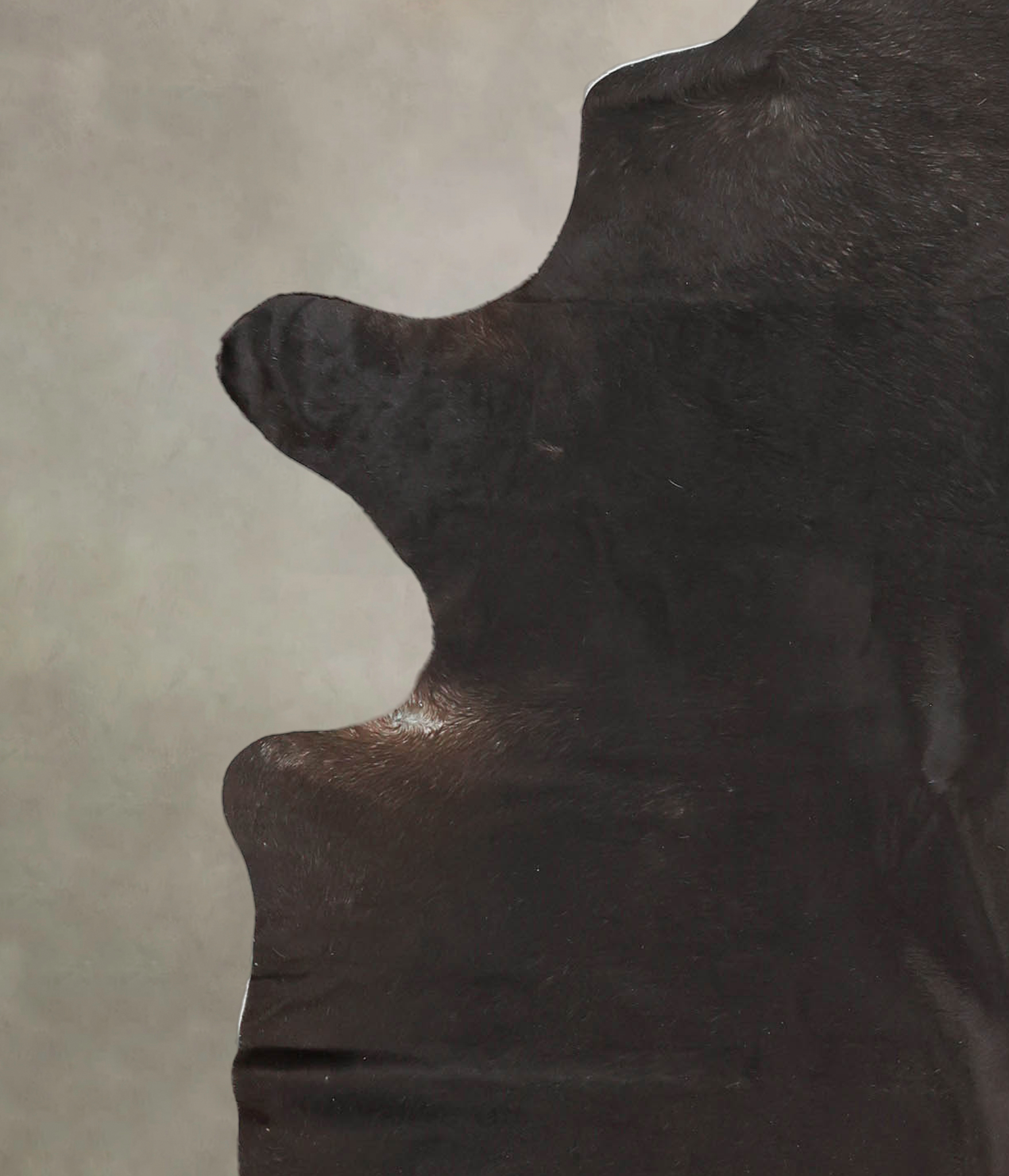 Chocolate Cowhide Rug #B1635
