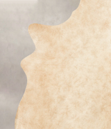 Palomino X-Large Brazilian Cowhide Rug 6'8"H x 6'1"W #B1638 by Hudson Hides