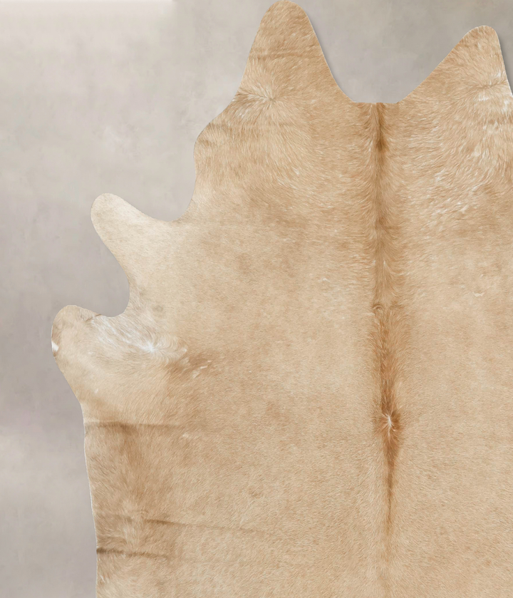 Palomino XX-Large Brazilian Cowhide Rug 7'10"H x 7'0"W #B16392 by Hudson Hides