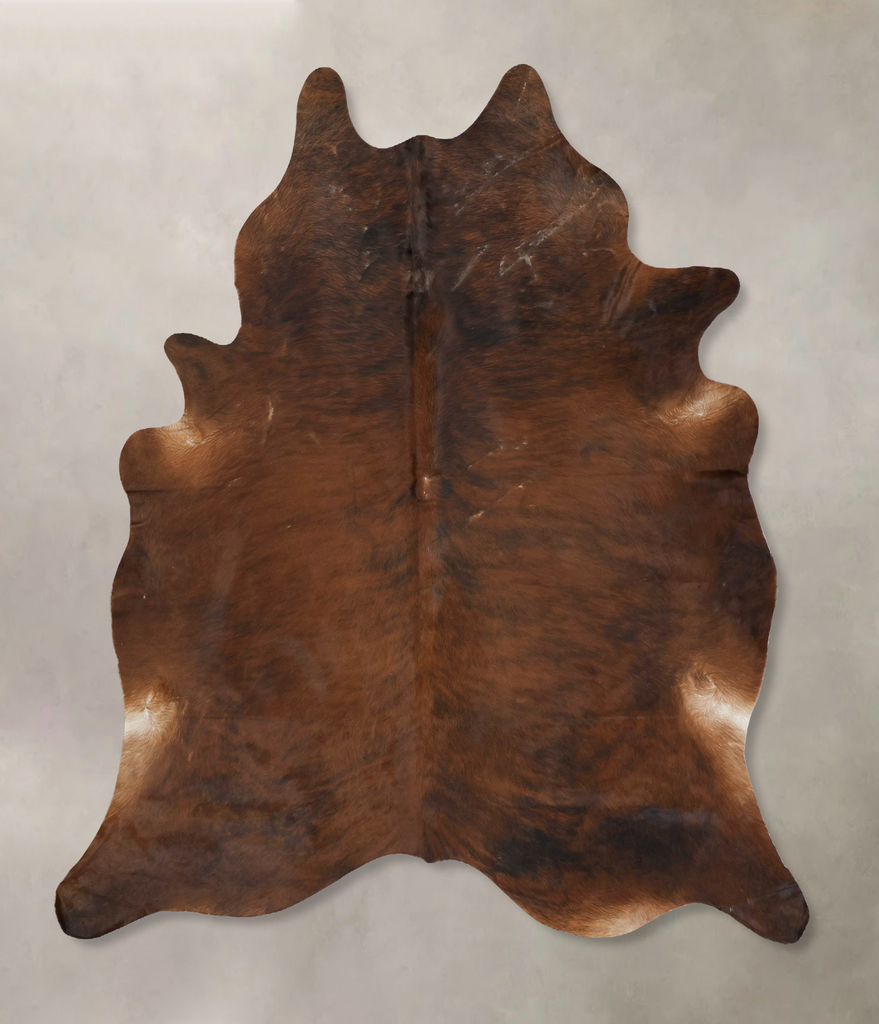Medium Brindle XX-Large Brazilian Cowhide Rug 8'3"H x 7'3"W #B16401 by Hudson Hides