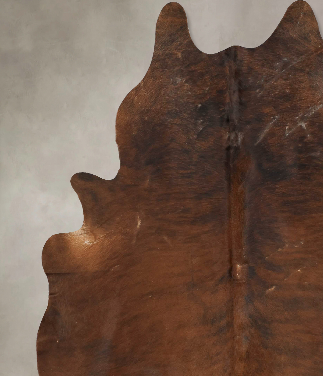 Medium Brindle XX-Large Brazilian Cowhide Rug 8'3"H x 7'3"W #B16401 by