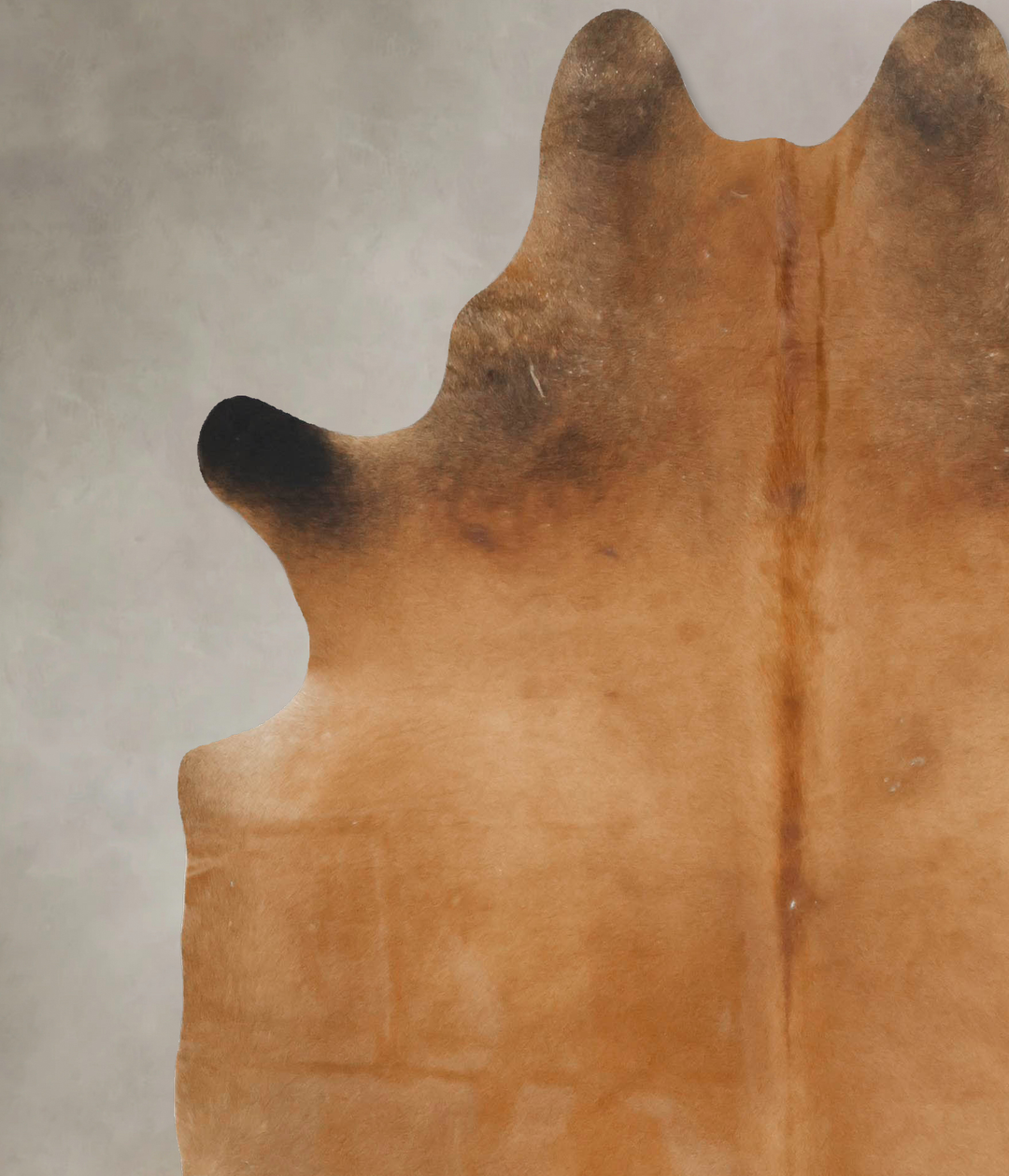 Solid Brown X-Large Brazilian Cowhide Rug 7'7"H x 6'4"W #B16419 by Hud