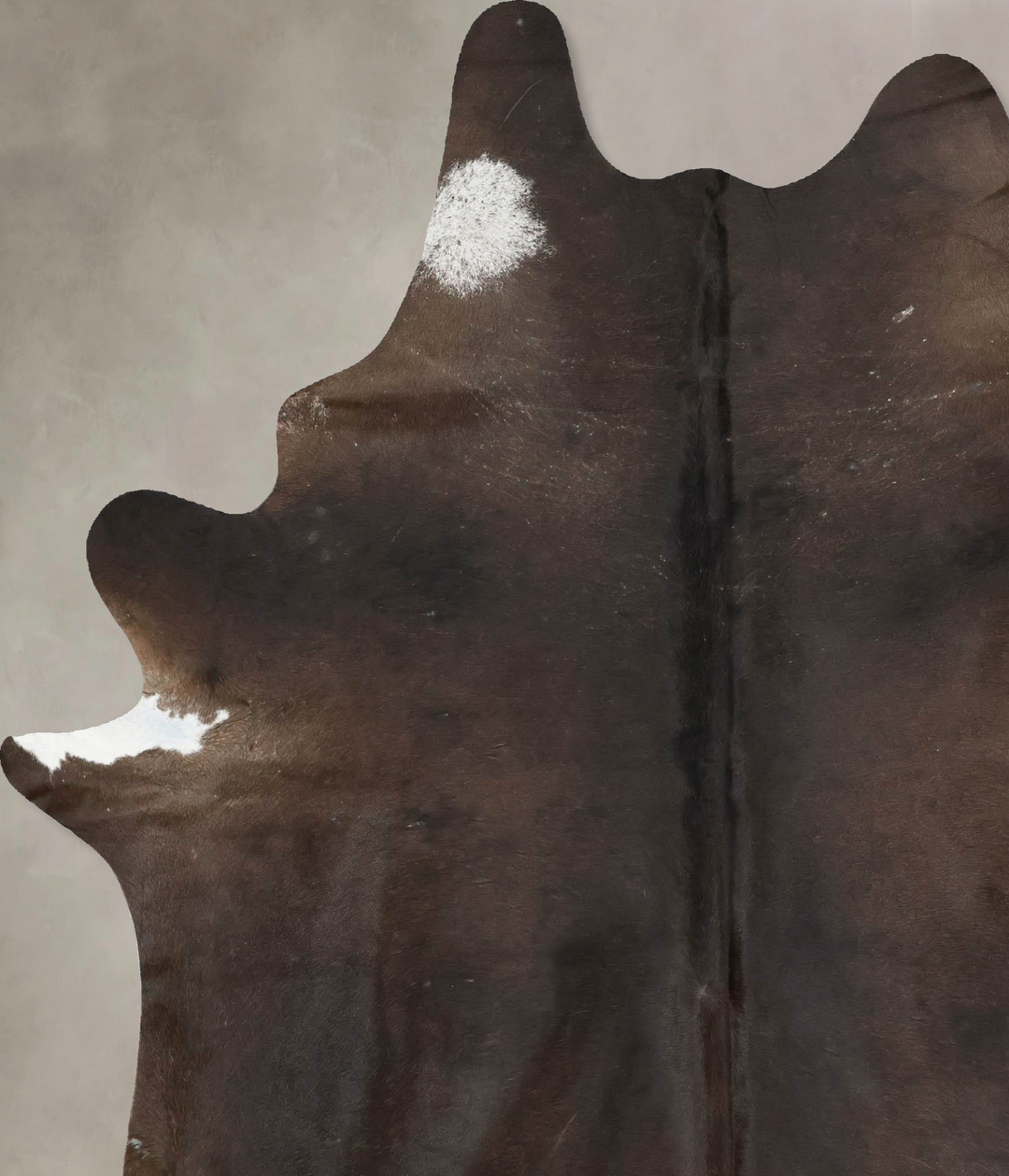 Chocolate XX-Large Brazilian Cowhide Rug 8'6"H x 6'5"W #B16427 by Huds