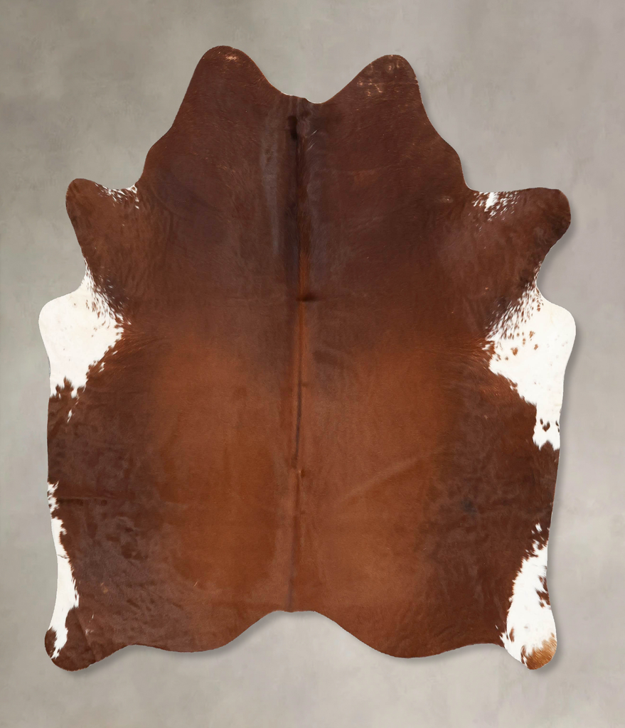 Brown and White Regular Large Brazilian Cowhide Rug 6'4"H x 5'11"W #B16433 by Hudson Hides