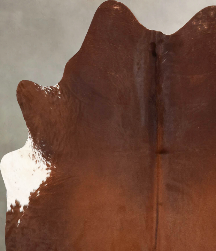 Brown and White Regular Large Brazilian Cowhide Rug 6'4"H x 5'11"W #B16433 by Hudson Hides