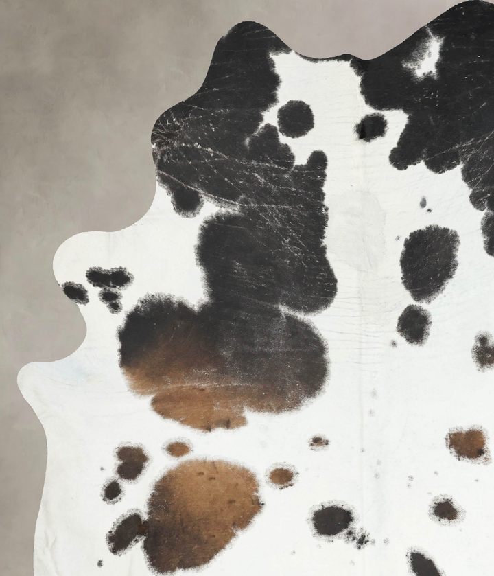 Chocolate and White XX-Large Brazilian Cowhide Rug 8'3"H x 6'9"W #B16437 by Hudson Hides