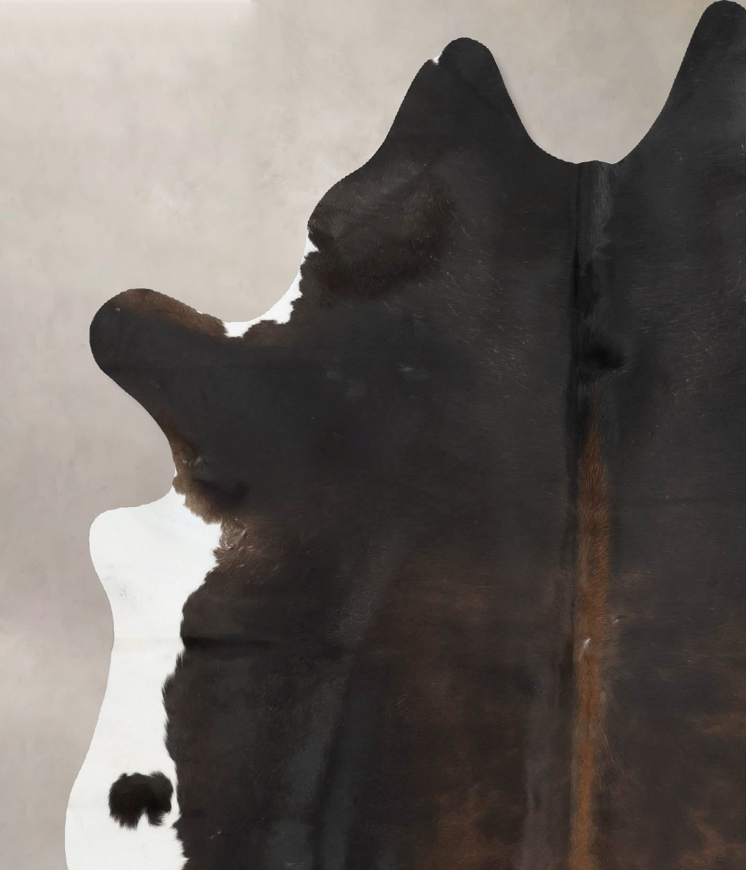 Chocolate and White X-Large Brazilian Cowhide Rug 7'4"H x 6'2"W #B1644